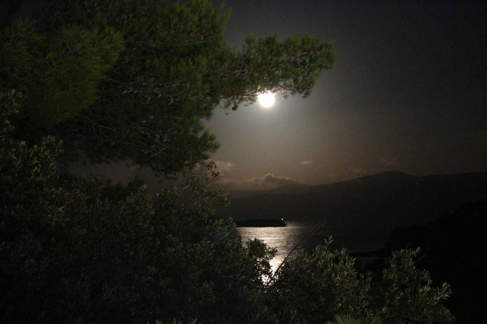 Holiday Hvar Vrbanj Exteriör bild